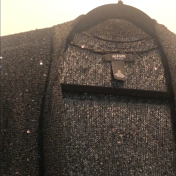 NWT Duster Length Sweater with A Little Sparkle - Picture 4 of 7